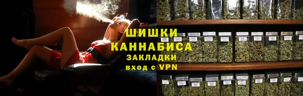 мдпв Михайлов