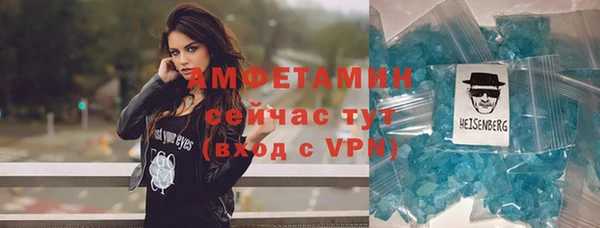 мдпв Михайлов