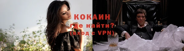 мдпв Михайлов