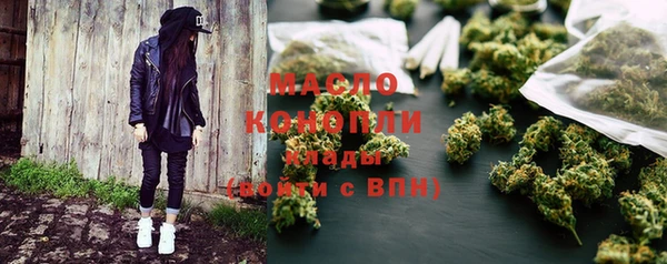 мдпв Михайлов