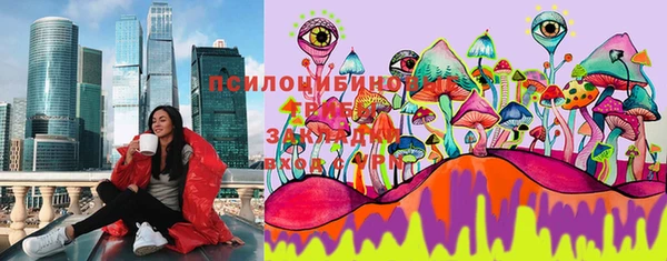 гашик Анжеро-Судженск