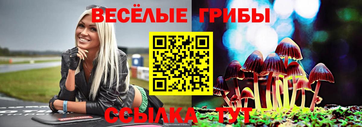 Калач-на-Дону  Псилоцибиновые грибы Magic Shrooms  Вход с VPN 