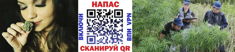 блэк спрут онион shop Telegram МАРИХУАНА Bruce Banner Калач-на-Дону